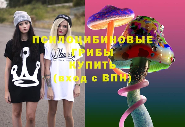 спиды Алексин