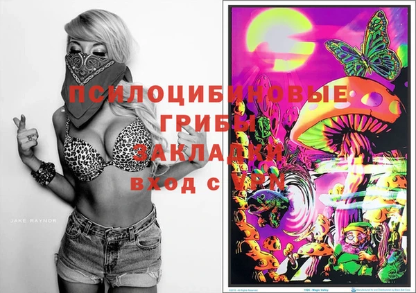 МДПВ Алзамай